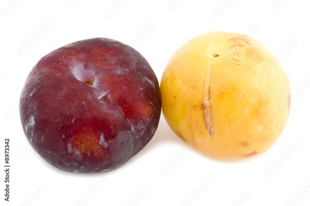 object on white - food plum macro