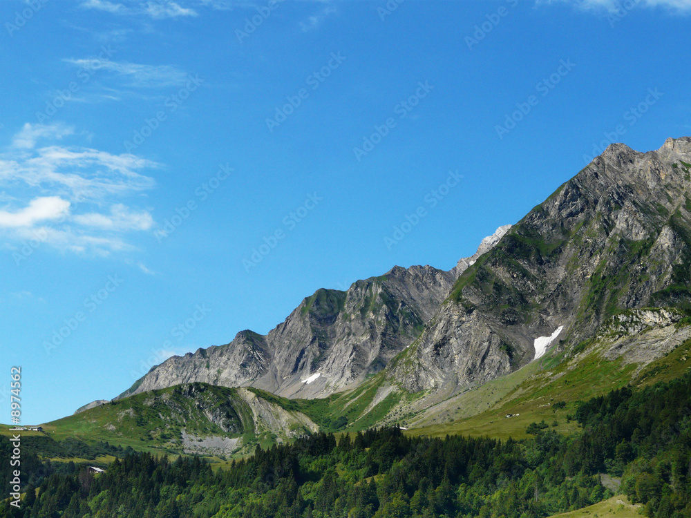 Paysage de montagne dans les alpes