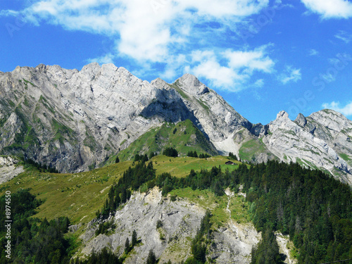 Fototapeta Naklejka Na Ścianę i Meble -  Paysage de montagne dans les alpes