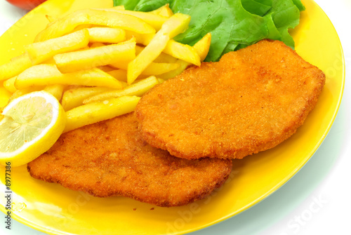 schnitzel -paniert mit salat,pommes frites