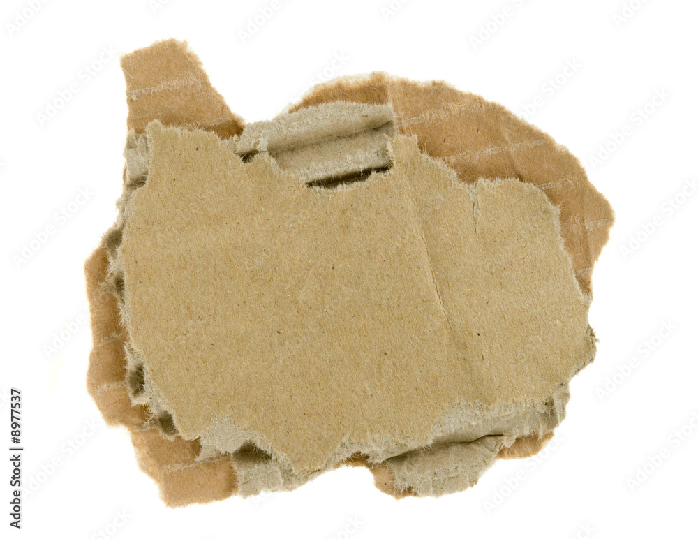 torn piece of corrugated fiberboard isolated torn piece of corrugated fiberboard isolated