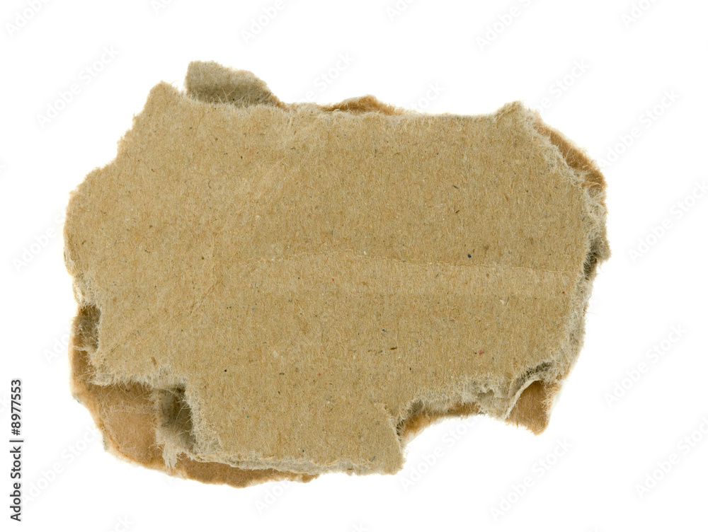 torn piece of corrugated fiberboard isolated torn piece of corrugated fiberboard isolated