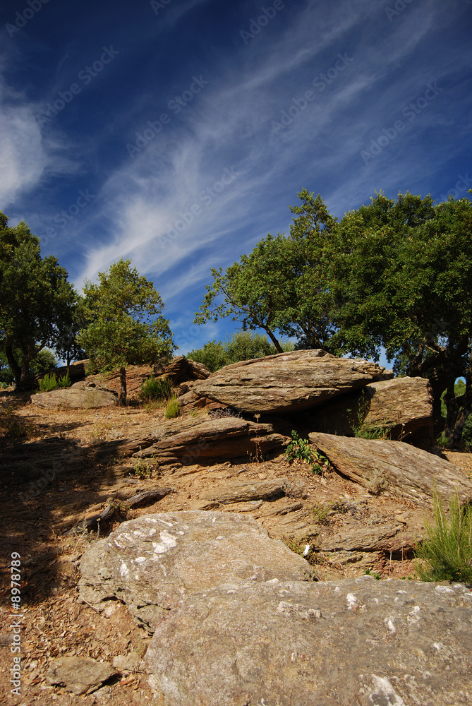 provence