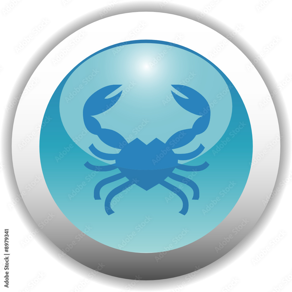 Glossy Zodiac Button Glossy Zodiac Button