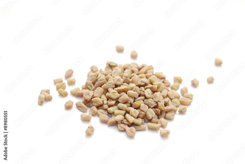 Fenugreek Fenugreek