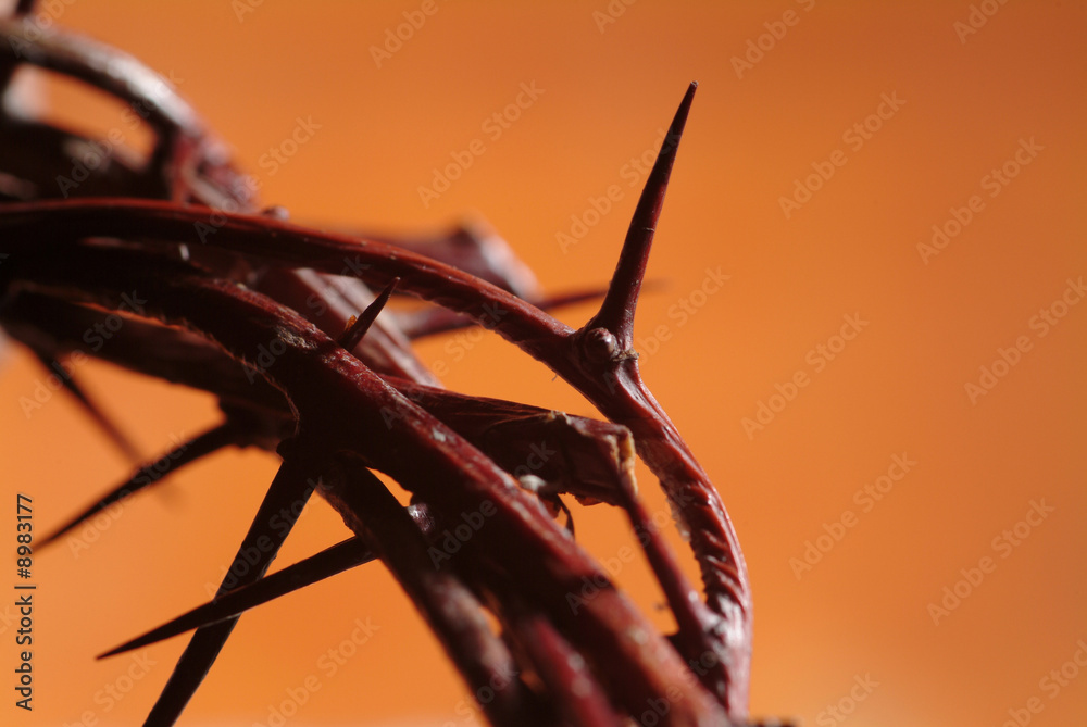 Crown of Thorns Crown of Thorns