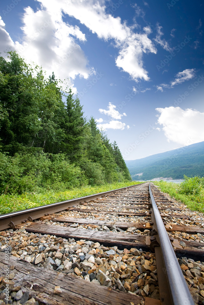 Fototapeta premium Railroad tracks in nature