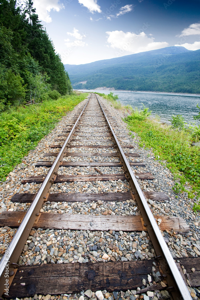 Railroad tracks in nature