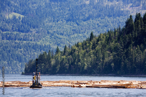 Obraz na płótnie A logging boat on the coast