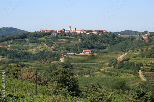 Obraz na płótnie collio