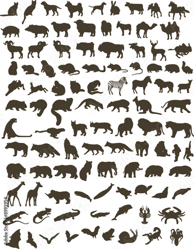 100 black silhouettes of animals © ntnt