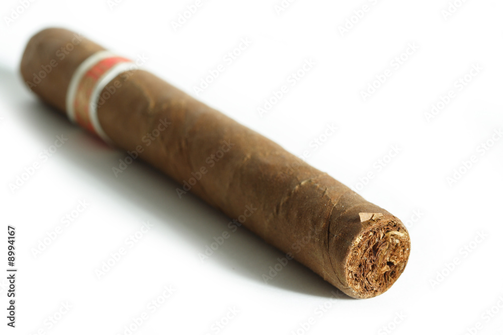 Cigar isolated on white