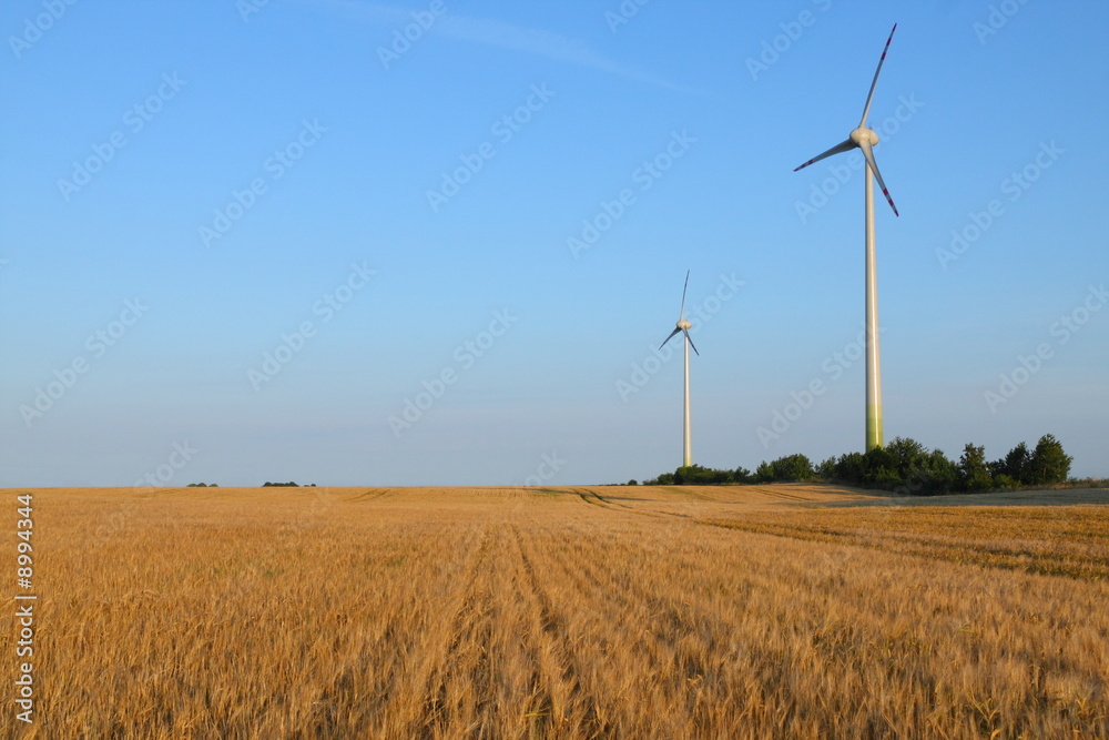 Power generating wind turbines on cultivated wheat field, Poland Power generating wind turbines on cultivated wheat field, Poland