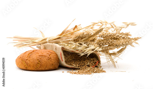 golden wheat and studio isolated