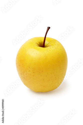 Apple golden on a white background