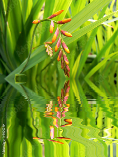 Reflet