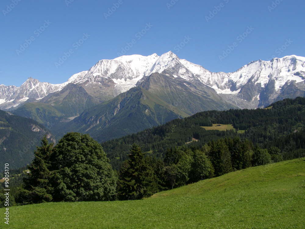 Mont Blanc vu des Communailles en été