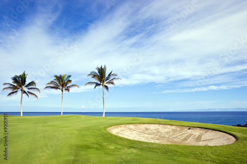 Hawaiian Golf Course on Lava Ocean Shore of Kona Island
