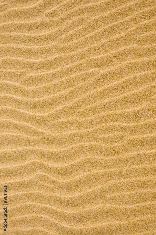 Rippled sand