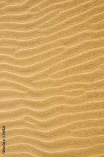 Rippled sand