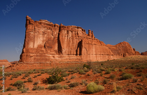 Natural red rocks at Arches National Park in Utah USA