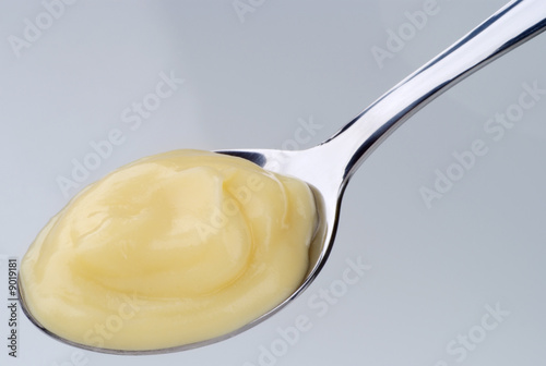 Spoonful of custard photo