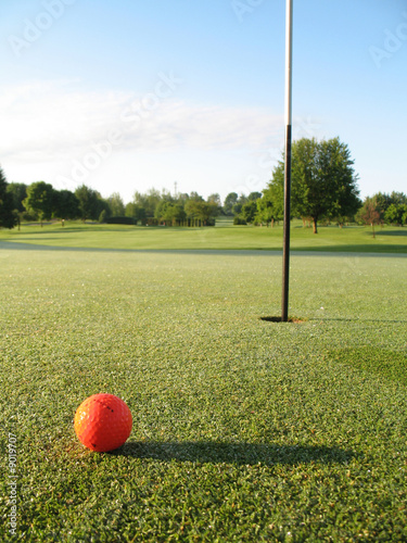 Orange ball on green