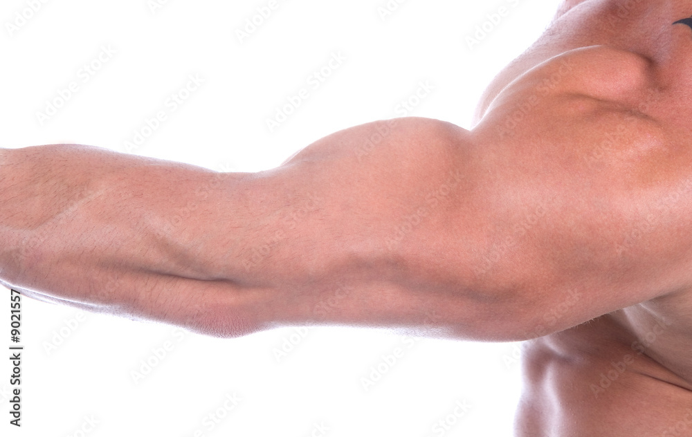 Bicep close up , isolated on white Bicep close up , isolated on white