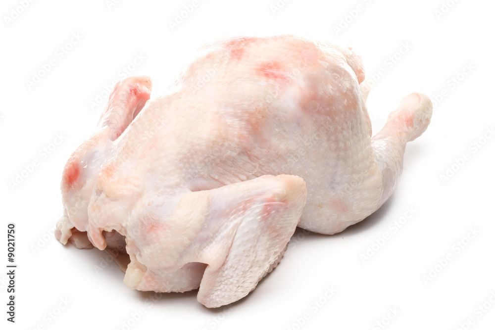 Fresh chicken on a white background. Close up Fresh chicken on a white background. Close up