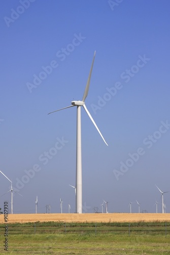 wind turbine field