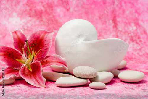 still life with ceramic shell and lily flower