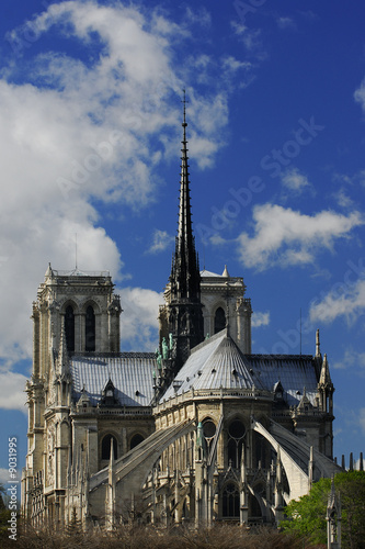 Notre-Dame Cathedral by a sunny day, Paris.