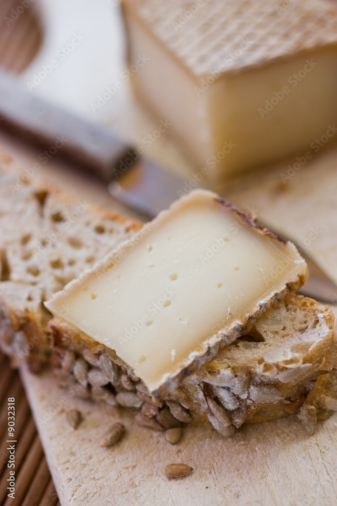 A french tasty slice of cheese on a piece of bread with cereals