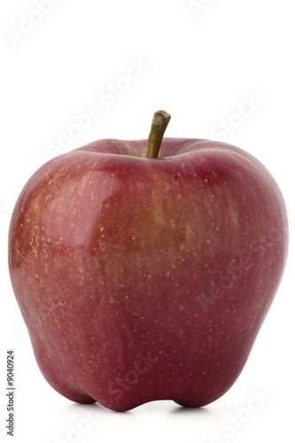 a red apple on white