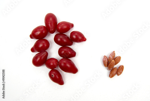Red exotic berries