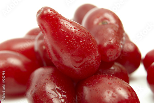 Red berries in droplets of water