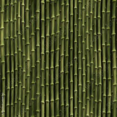 Rendered illustration of bamboo plant stems vegetation