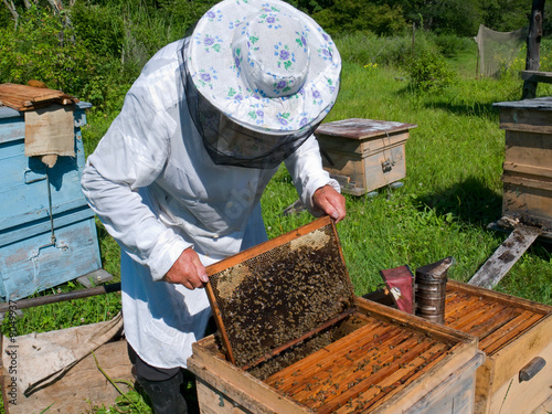 Beekeeper 29 photo