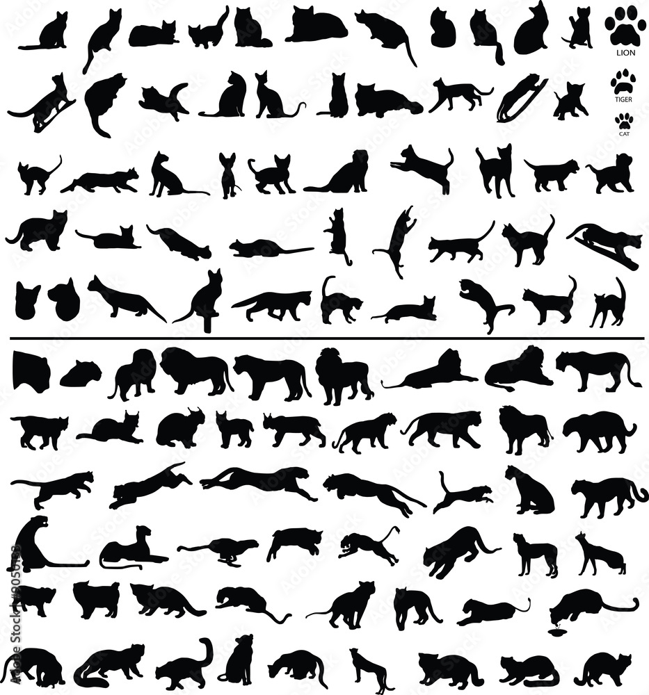 Naklejka premium 100 silhouettes of big and small cats