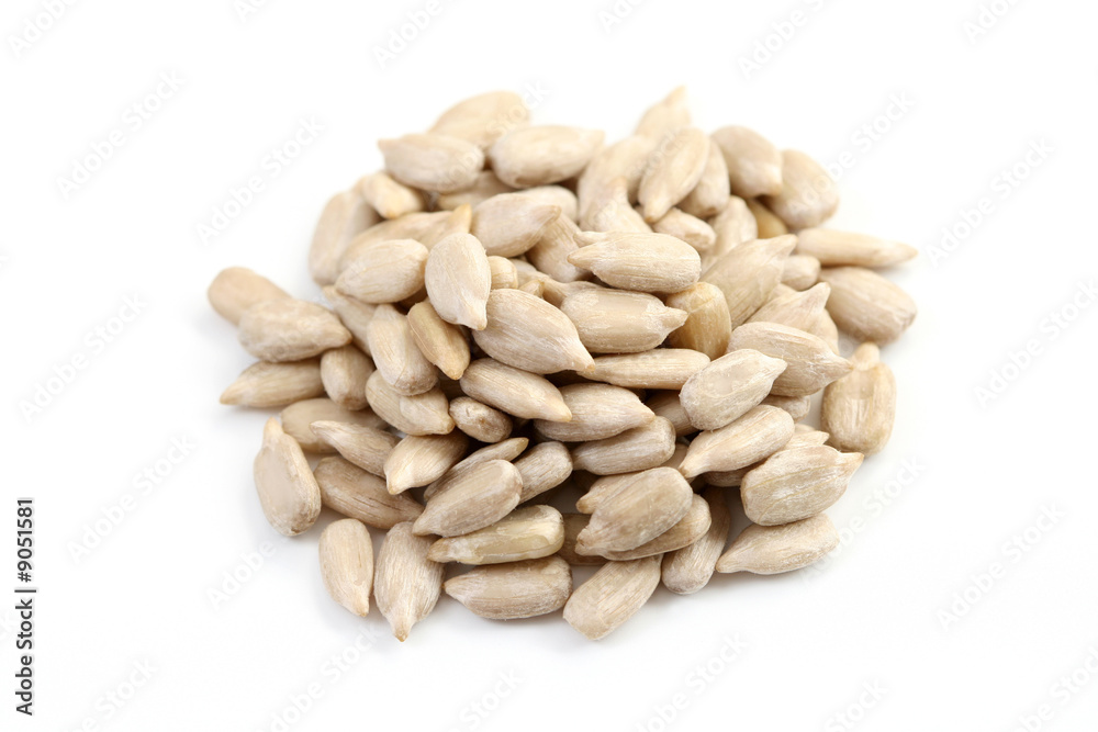 pile of sunflower seeds isolated on white pile of sunflower seeds isolated on white