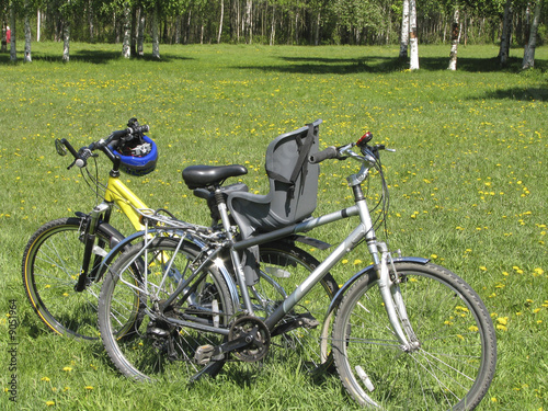 Two bicycles on a glade © nkaup