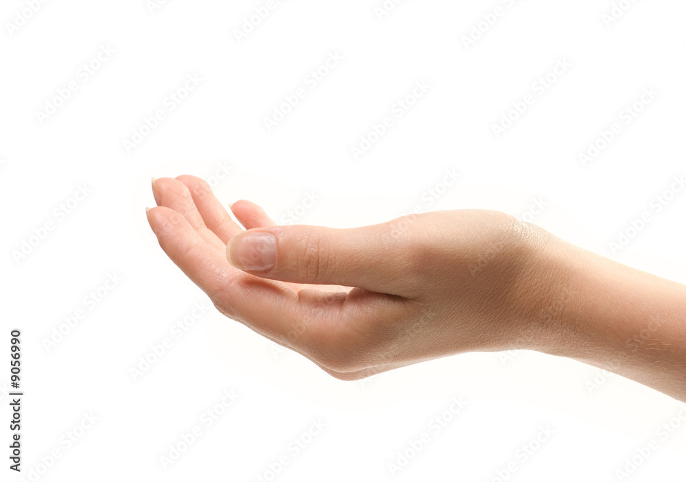Female hand isolated over white background. Close-up photo. Female hand isolated over white background. Close-up photo.