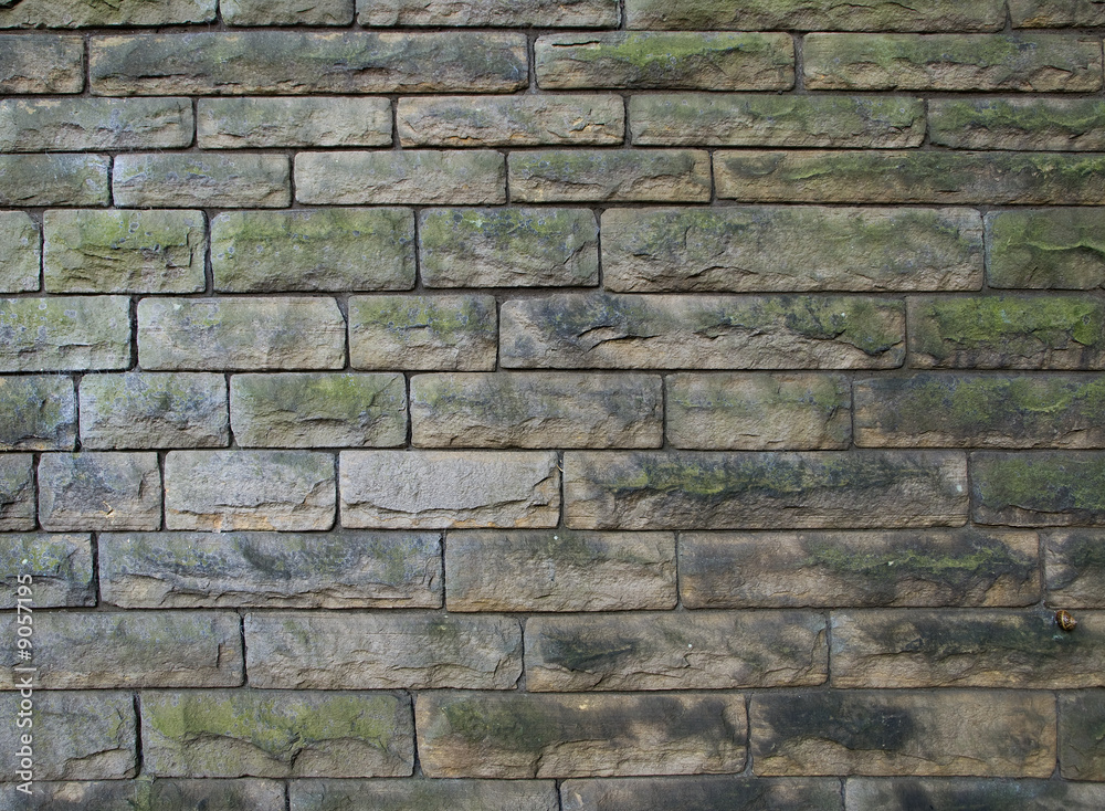 Fototapeta premium Stone Wall & Snail 02