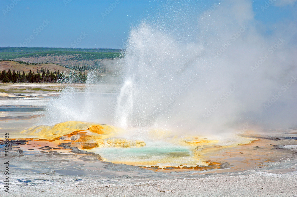 Geyser Geyser
