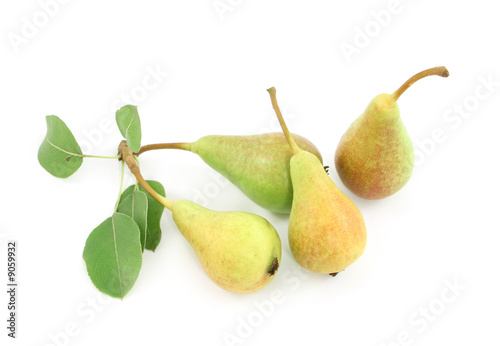 fresh pears isolated on white
