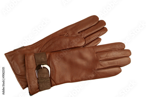 Brown glove on a white background