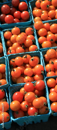 Obraz na płótnie Cherry Tomatoes, in boxes w salonie