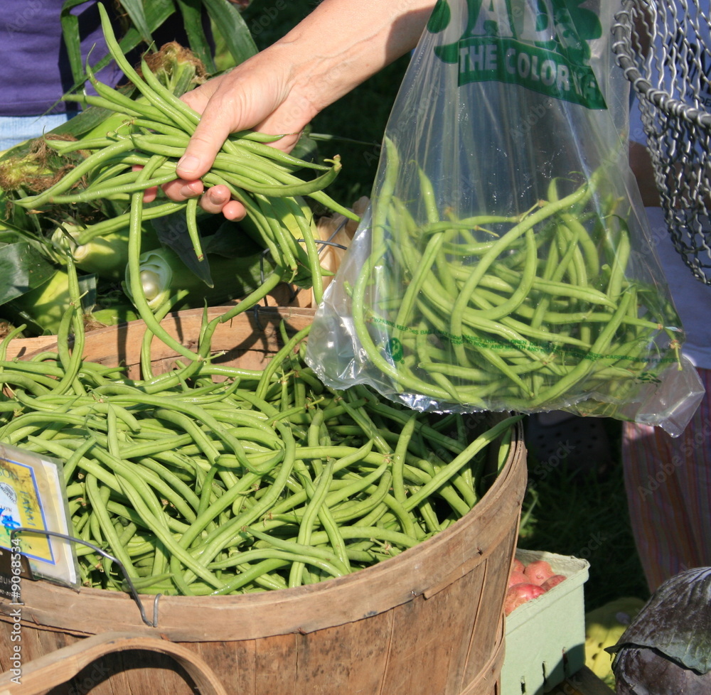 Selecting Fresh Green Beans