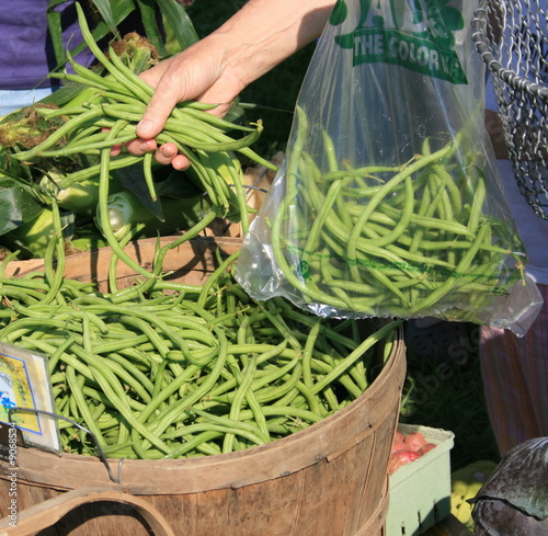 Obraz na płótnie Selecting Fresh Green Beans w salonie