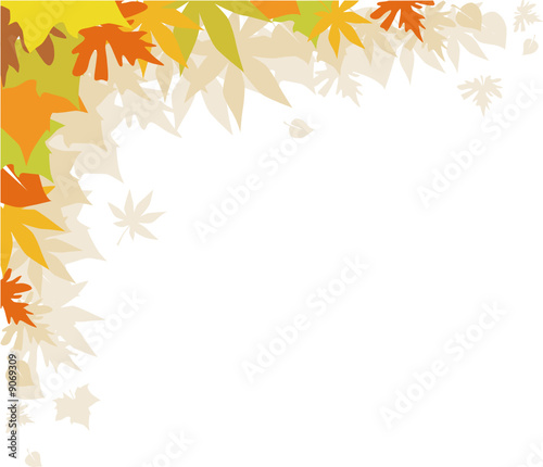 autumn leaves
